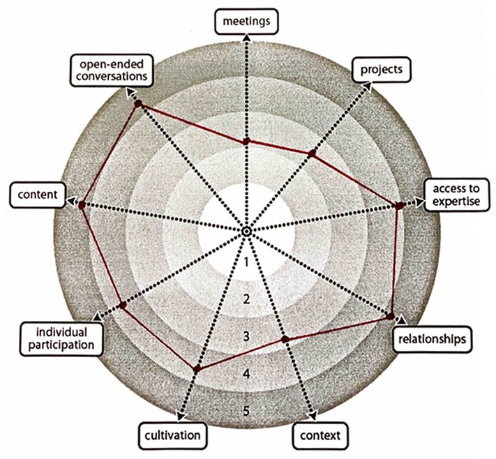 Spider Diagram