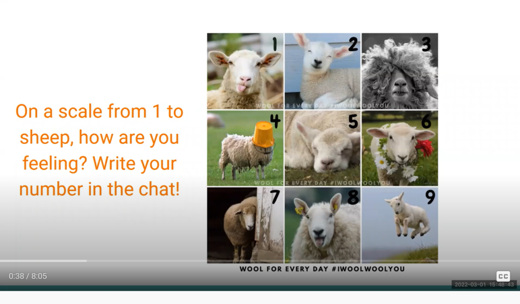 On a scale from 1 to sheep, how are you feeling? Write your number in the chat! 9 square photographs show sheep in various poses displaying various attitudes. Wool For Every Day #IWoolWoolYou.